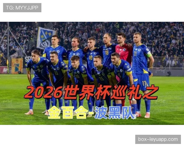 波黑队2026世界杯预选赛突围前景分析 核心球员能否带队创造历史 波黑队2026世界杯预选赛突围前景分析 核心球员能否带队创造历史